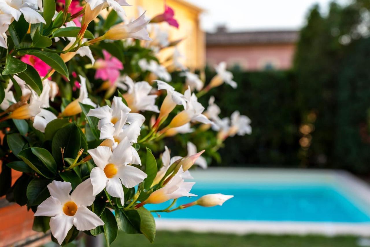 Albergo Ristorante Il Terziere Trevi Exteriér fotografie